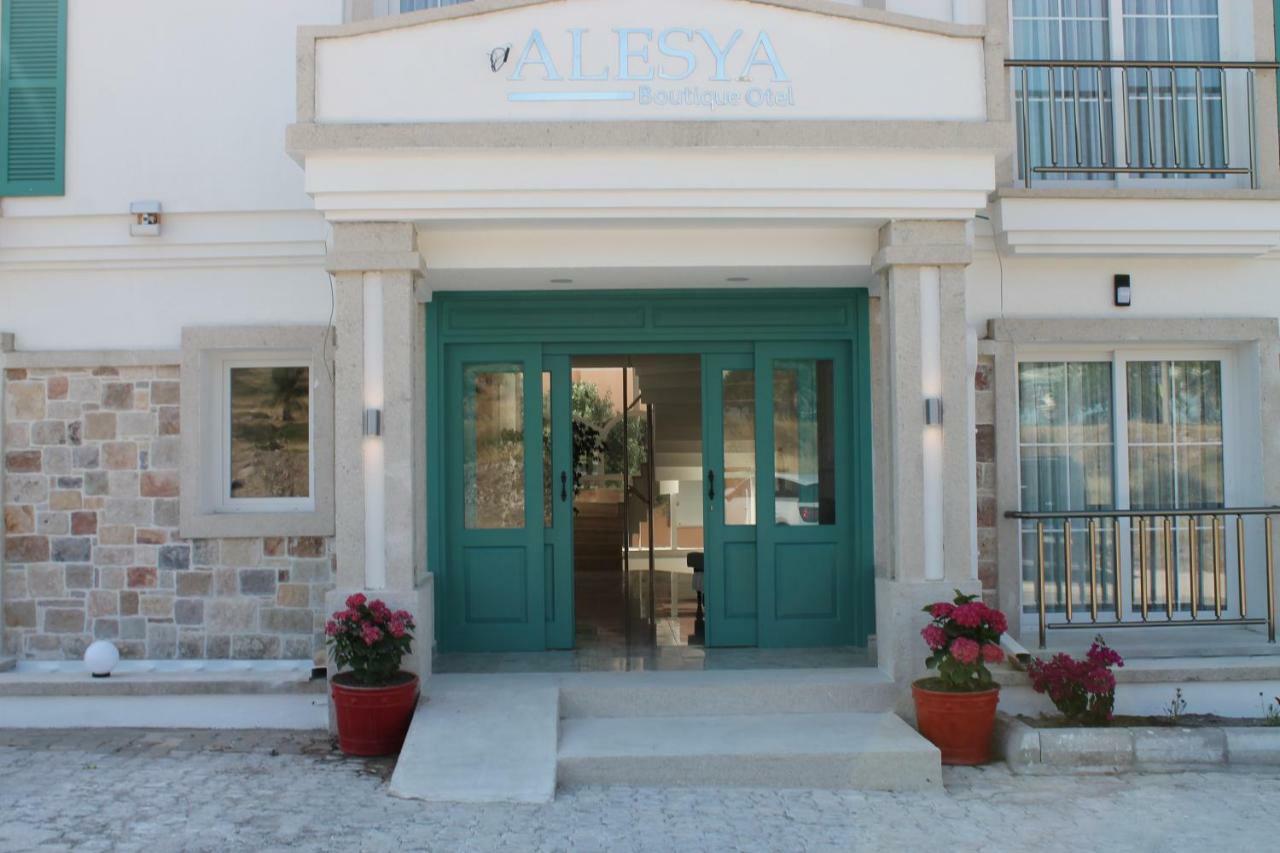 Alesya 3*